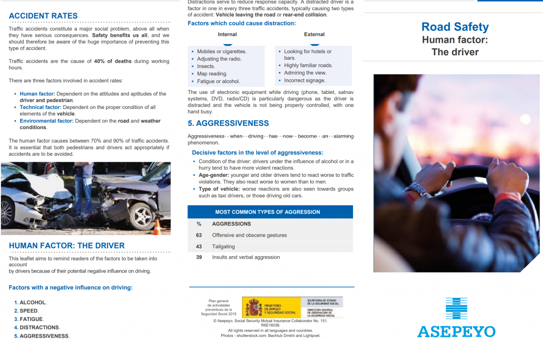 Pequeño formato. Road Safety Human factor: The driver